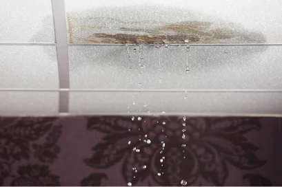 Ceiling Leak? Act Fast with Expert Tips and Solutions