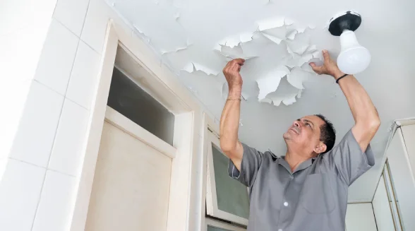 a-technician-observing-a-peeling-ceiling-that-is-subjected-to-water-leaks