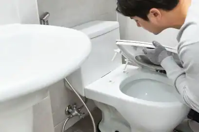 How-often-should-I-replace-toilet-seat