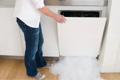 woman-looking-at-her-dripping-dishwasher