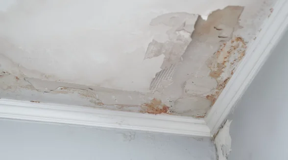 damaged-plaster-ceiling