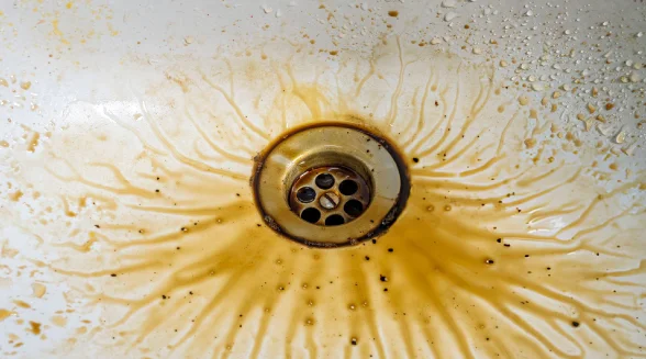 dirty-sink-with-oil-left-in-it