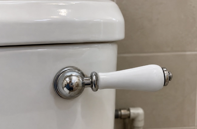 Close-up of a real white toilet flush handle on a ceramic cistern in a bathroom.